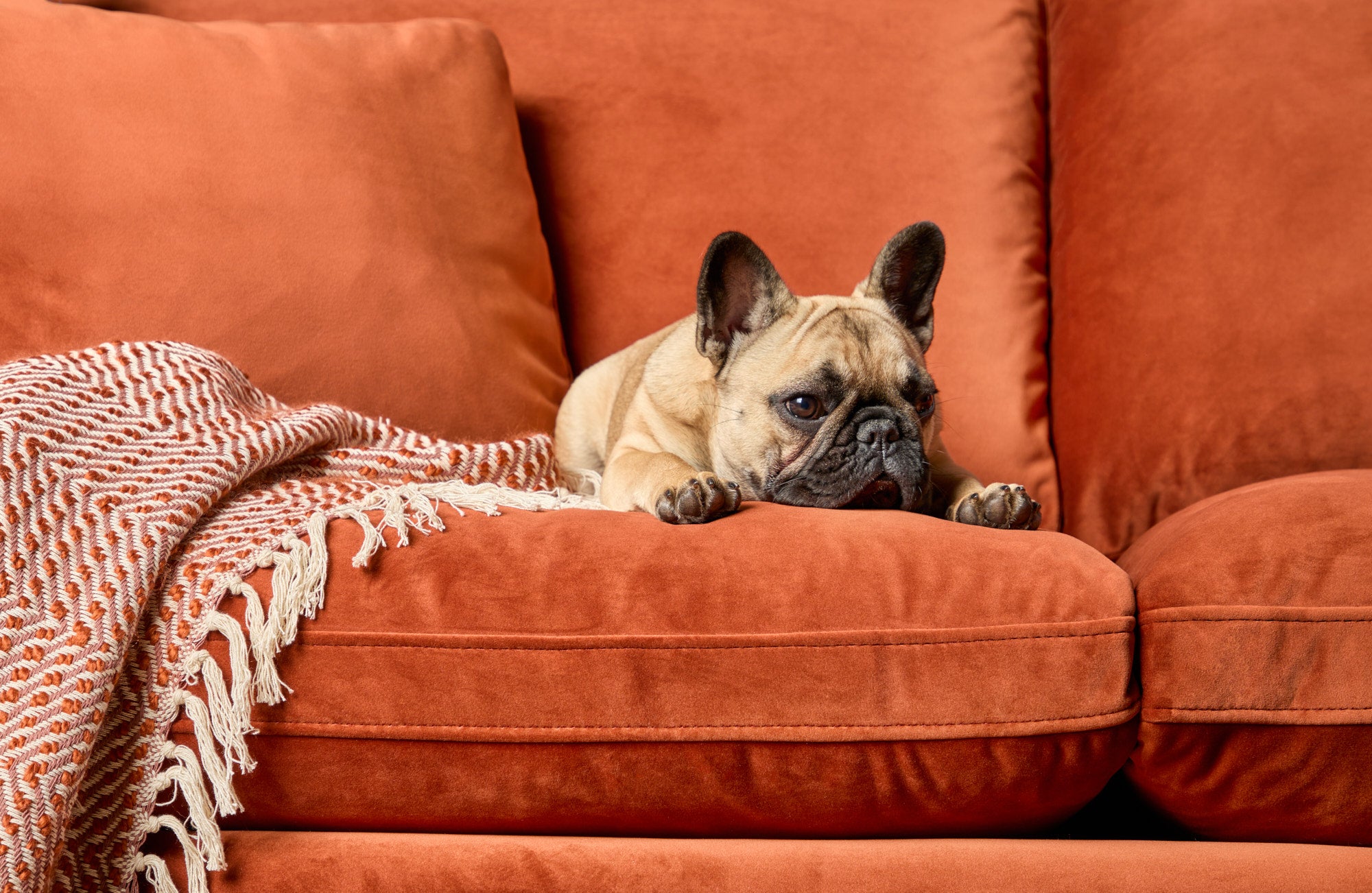 The Benefits of Performance Upholstery for Your Busy Home